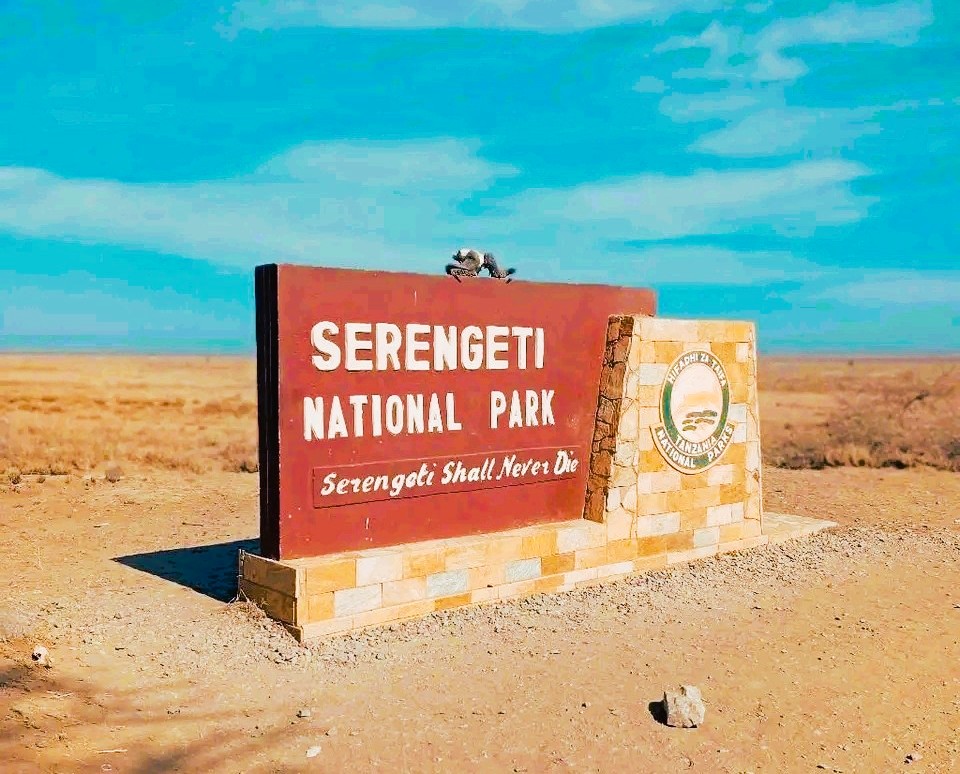 Serengeti National Park.
